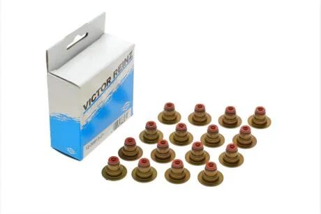 Комплект прокладок, стержень клапана VICTOR REINZ 12-36613-01