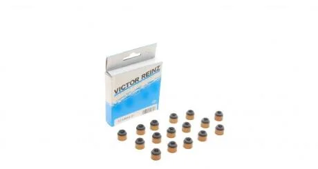 Сальники клапанов VICTOR REINZ 12-53854-01