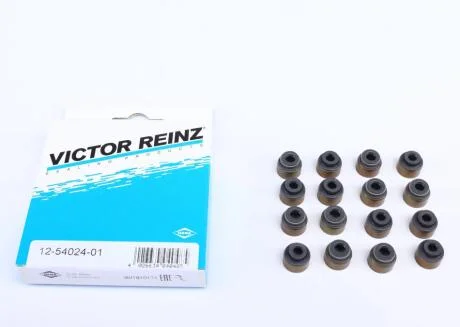 Комплект сальників клапанів VICTOR REINZ 12-54024-01