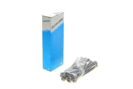 Комплект гвинтів голівки циліндра VICTOR REINZ 14-10013-01