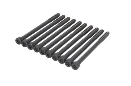 Комплект болтів (10 шт), головка циліндра VICTOR REINZ 14-10276-01