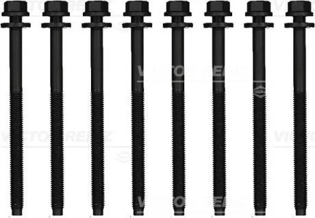 Болти головки блоку VICTOR REINZ 14-13247-01