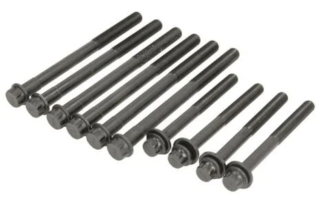 Болти головки блока комплект VICTOR REINZ 14-13344-01