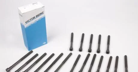 Комплект болтов ГБЦ MB W123/T1/T2 86- 2.0D/2.4D (компл. 18 шт.) VICTOR REINZ 14-32032-01