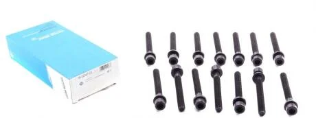 Комплект болтів гбц VICTOR REINZ 14-32047-03