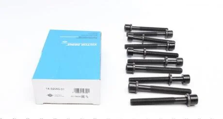 Болти ГБЦ (к-кт 10шт.) Audi 100/A4/VW Polo/Golf 1. VICTOR REINZ 14-32050-01