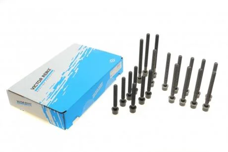 Комплект болтів головки циліндра (10+7+3) VICTOR REINZ 14-32056-01