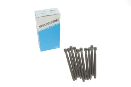Комплект болтів гбц VICTOR REINZ 14-32121-01