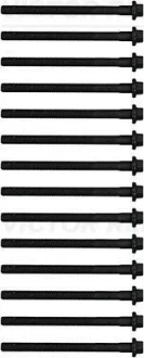 Болти головки блоку VICTOR REINZ 14-32152-03