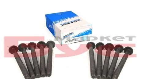 Болти ГБЦ (к-кт 10шт.) Renault Trafic 2.0-2.5dCi / VICTOR REINZ 14-32231-01