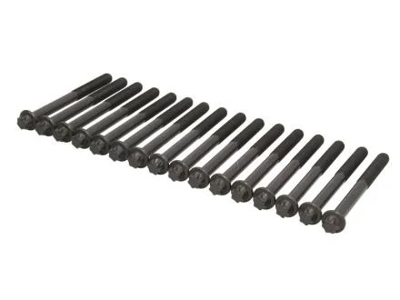 Болты ГБЦ на двигатель (16шт) (D0834LFL/LOH) VICTOR REINZ 14-32238-02