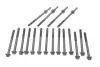 Комплект болтів ГБЦ VICTOR REINZ 14-32279-01 (фото 1)