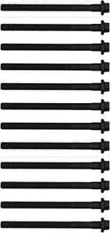 Болти головки блоку VICTOR REINZ 14-32286-01