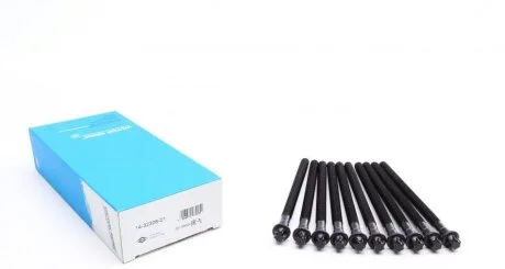 Комплект болтів гбц VICTOR REINZ 14-32308-01