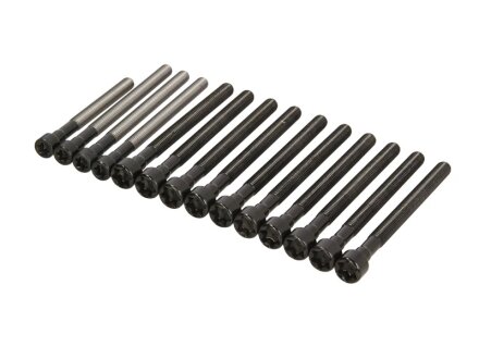 Болти ГБЦ (комплект 14шт.) BMW 3/5/7/X5(E90/E91/E92/E93/E60/E61/E62/E63/E65/E83/E70) 04- 2.5/3.0 VICTOR REINZ 14-32315-01