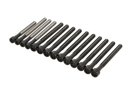 Болти ГБЦ (комплект 14шт.) BMW 3/5/7/X5(E90/E91/E92/E93/E60/E61/E62/E63/E65/E83/E70) 04- 2.5/3.0 VICTOR REINZ 14-32315-01