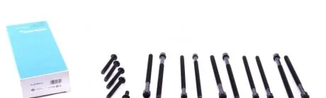 Комплект болтів гбц VICTOR REINZ 14-32359-01