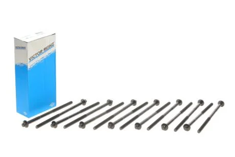 Комплект болтів гбц VICTOR REINZ 14-32365-01