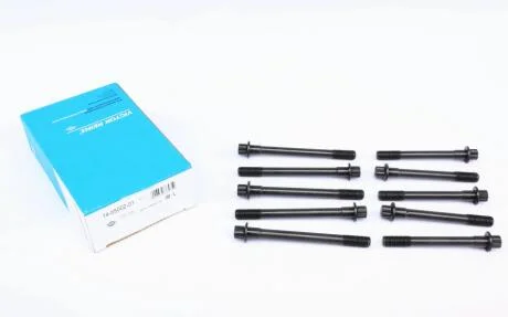 Комплект болтів гбц VICTOR REINZ 14-55002-01