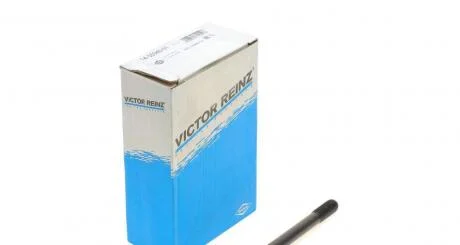 Комплект болтів гбц VICTOR REINZ 14-55040-01