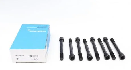 Комплект болтів гбц VICTOR REINZ 14-55063-01