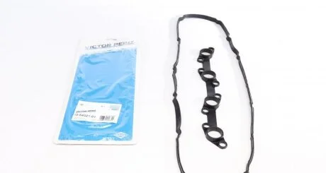 Комплект прокладок VICTOR REINZ 15-54021-01