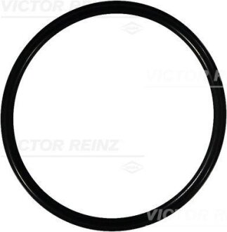 Уплотнительное кольцо VICTOR REINZ 40-76125-00