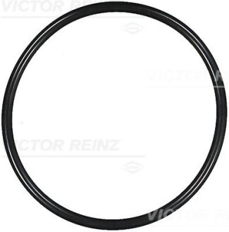 Уплотнительное кольцо VICTOR REINZ 40-76160-00