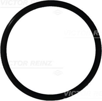 Уплотнительное кольцо VICTOR REINZ 40-76165-00