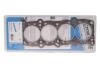 Прокладка головки блока циліндрів VICTOR REINZ 61-31790-10 (фото 1)