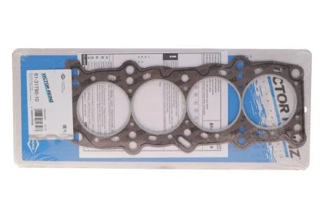 Прокладка головки блока циліндрів VICTOR REINZ 61-31790-10