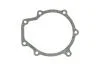 Прокладка водяного насосу VICTOR REINZ 70-36169-00 (фото 1)