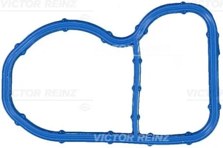 Прокладка впускного колектора VICTOR REINZ 71-17090-00