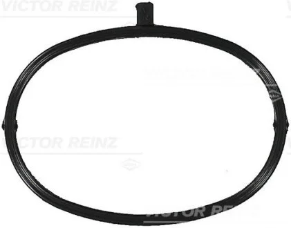Прокладка впускного колектора VICTOR REINZ 71-17173-00
