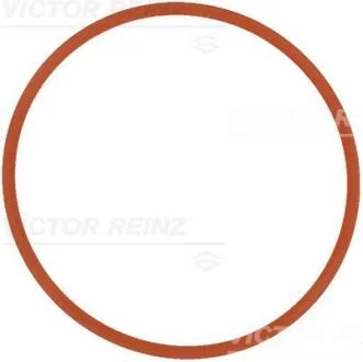 Ущільнювач VICTOR REINZ 71-17370-00