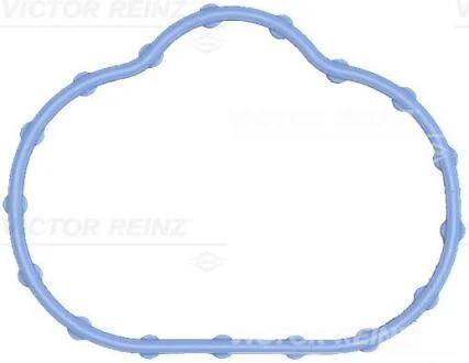 Прокладка впускного колектора VICTOR REINZ 71-17497-00