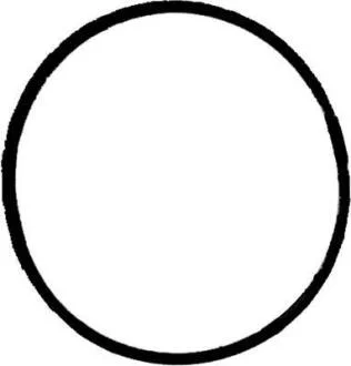 Прокладка випускного колектора VICTOR REINZ 71-37213-00