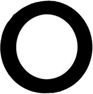 Прокладка впускного колектору VICTOR REINZ 71-37341-00