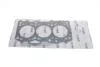 Прокладка головки блоку металева Skoda Fabia 1,4D (03-08)/VW Polo (99-,01-)/Audi A2 (00-05) Vika 11031389901 (фото 1)