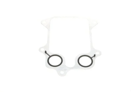 Прокладка масляного радіатора Vika 11151786401