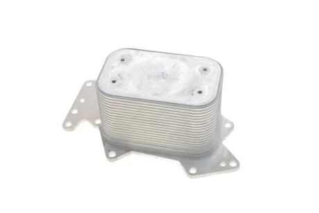 Оливний радіатор Vika 11171698701