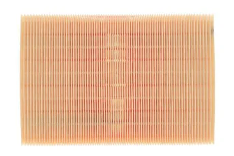 Фільтр повітряний BMW (WIX-Filtron UA) /AP028 WIX FILTERS WA6192