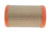Фільтр повітря Nissan Kubistar, Renault Clio, Clio II, Kangoo, Twingo, Twingo II WIX FILTERS WA6501 (фото 1)