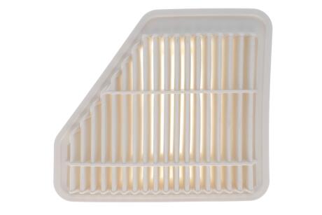 Фільтр повітря (Toyota Auris, Avensis III, Corolla X (07-), Verso) WIX FILTERS WA9614
