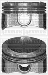 Поршень з кільцями і пальцем (розмір отв. 75,00/STD) CITROEN C-Elysee 1,2VTi YENMAK 31-04105-000