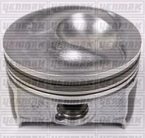 Поршень с кольцами і пальцем (размер отв. 76.51 / STD) (BAG,BLF,BLP) (Дизель, 4ц) YENMAK 39-03956-000