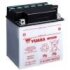 Стартерний акумулятор YUASA YB30CL-B (фото 1)